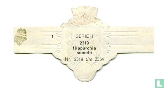 Hipparchia semele - Afbeelding 2