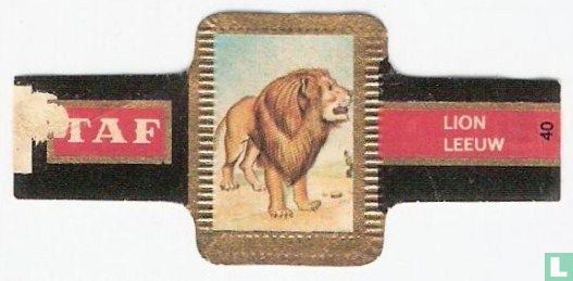 [Lion] - Image 1