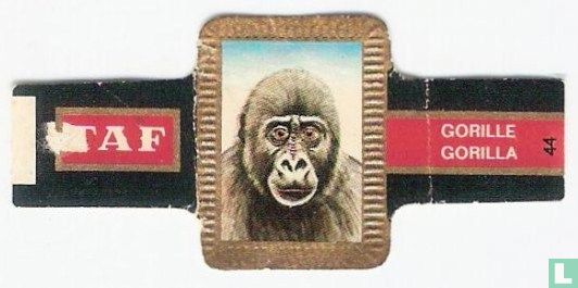 [Gorilla] - Image 1
