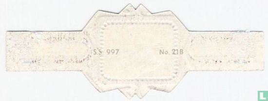 1900 S.S. 997 - Afbeelding 2