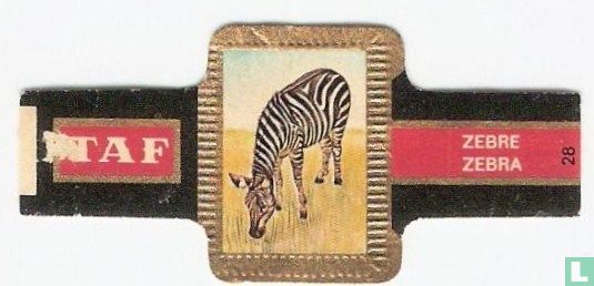 [Zebra] - Image 1