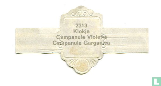 Klokje - Campanula Garganica - Afbeelding 2