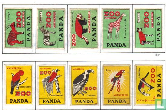 Panda 54: Giraffe - Afbeelding 2