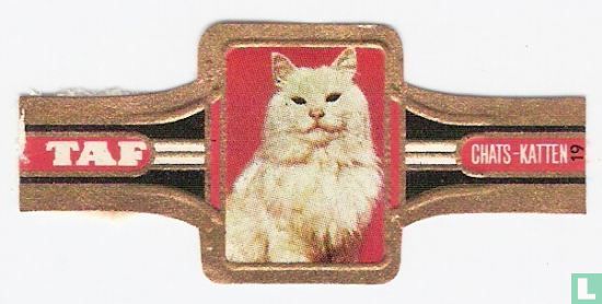 Katten 19 - Afbeelding 1