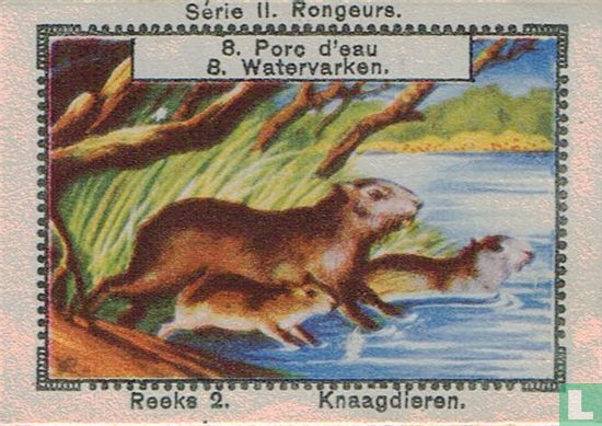 Watervarken - Image 1