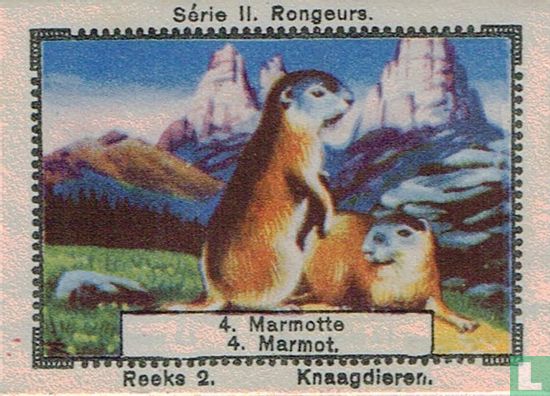 Marmot - Image 1