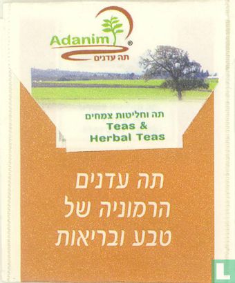 Teas & Herbal Teas - Image 2
