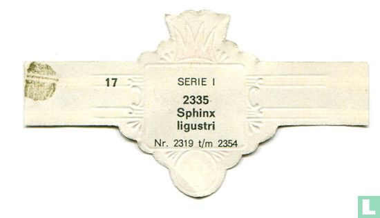 Sphinx ligustri - Afbeelding 2