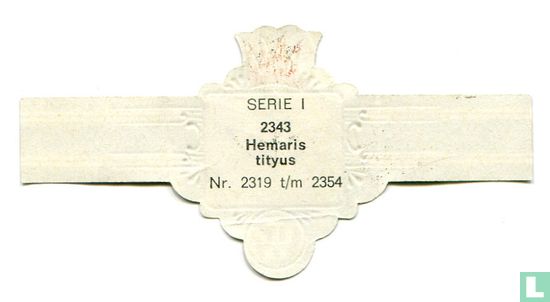 Hemaris tityus - Bild 2