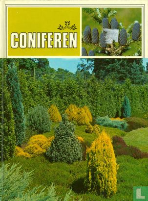 Coniferen - Afbeelding 1