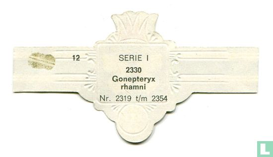 Gonepteryx rhamni - Afbeelding 2