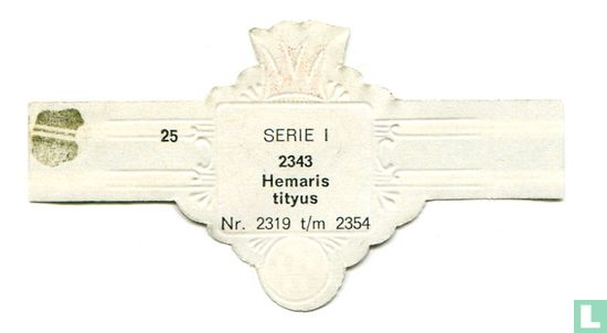 Hemaris tityus - Afbeelding 2