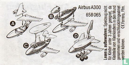 Airbus A300 - Bild 2