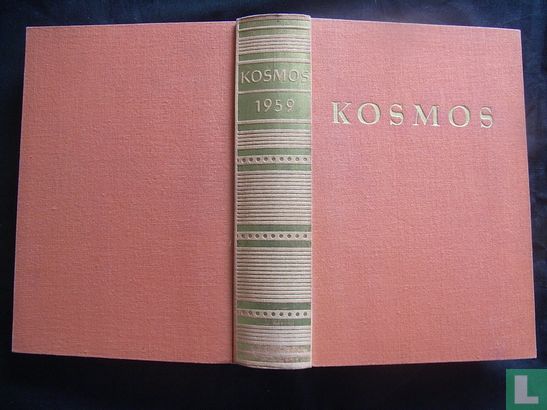 Kosmos - Image 3