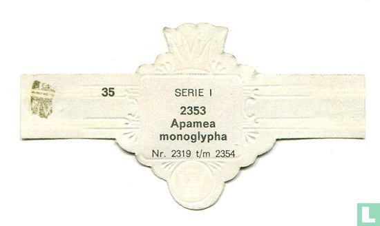 Apamea monoglypha - Image 2