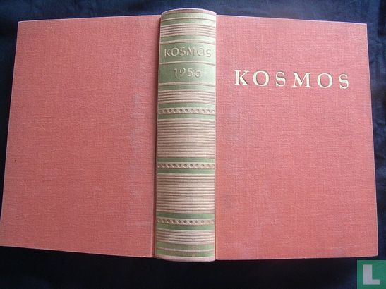 Kosmos - Image 3