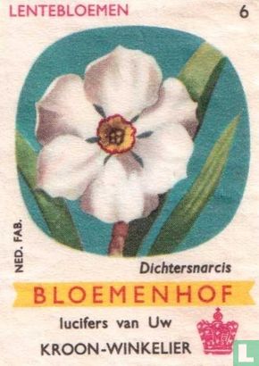 Dichtersnarcis