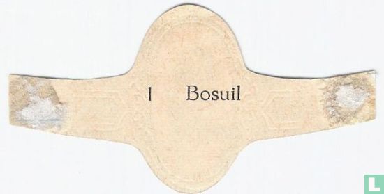 Bosuil - Afbeelding 2