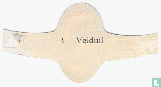 Velduil - Image 2