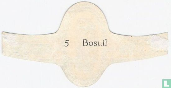 Bosuil - Bild 2