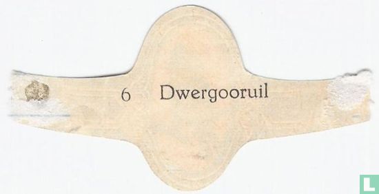 Dwergooruil - Image 2