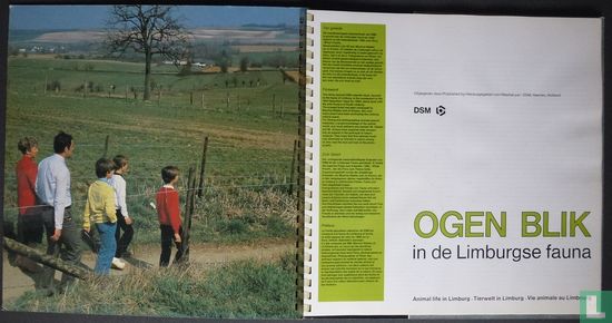DSM - Ogen blik - 1983 - Afbeelding 2