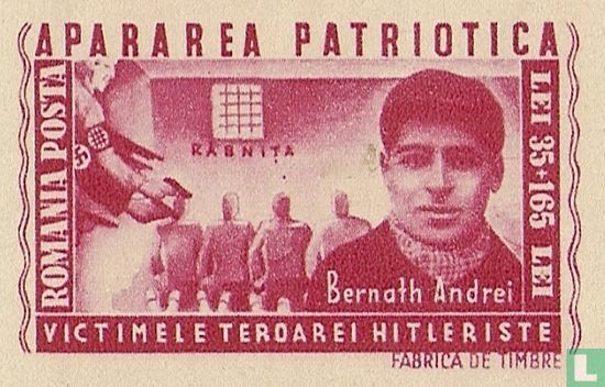 Apararea Patriotica - Andrei Bernath