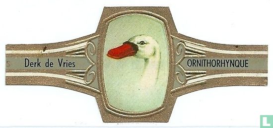 Ornithorhynque - Image 1