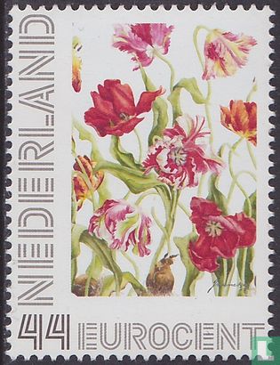 Janneke Brinkman-tulipes