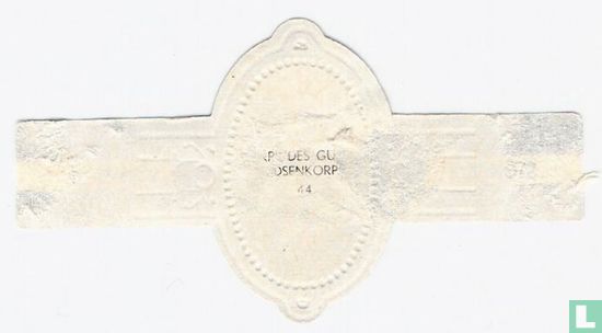 Corps des Guides  - Image 2