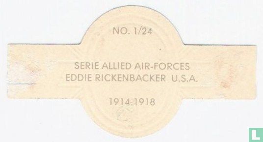 Eddie Rickenbacker U.S.A. - Afbeelding 2
