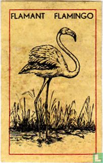 Flamant Flamingo - Image 1