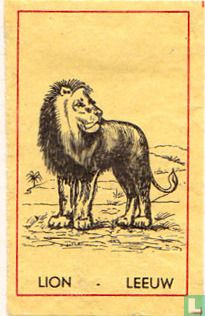 Lion Leeuw - Afbeelding 1