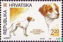 Croatian dogs
