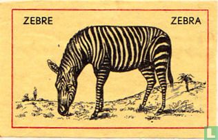 Zebre Zebra - Afbeelding 1