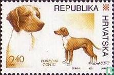Kroatische honden