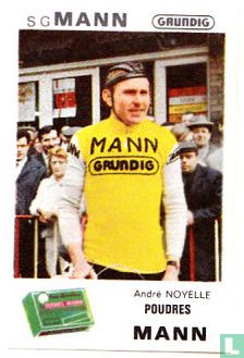 André Noyelle - Image 1