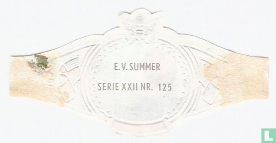 E.V. Summer - Afbeelding 2