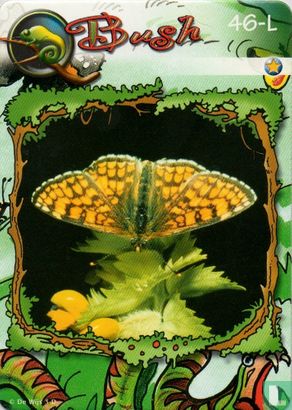 Vlinder - Afbeelding 1