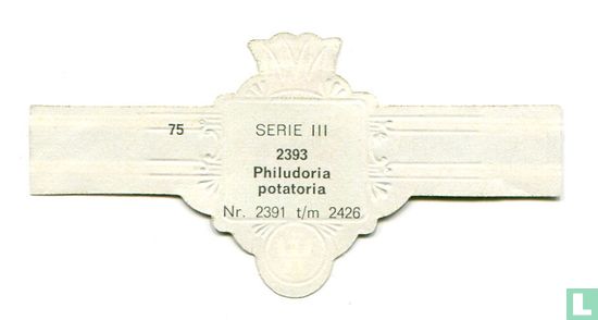 Philudoria potatoria - Image 2