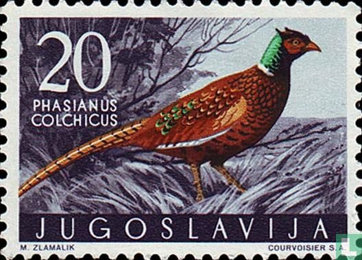 Yugoslav fauna-birds