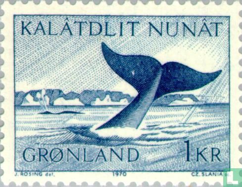 Greenland animal world