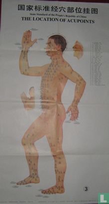 Trioset Acupunctuur punten posters - Image 3