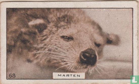 Marten - Image 1