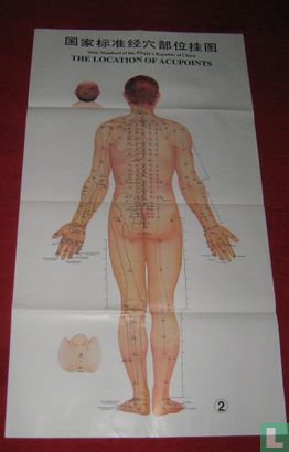 Trioset Acupunctuur punten posters - Afbeelding 2