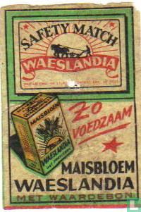 Waeslandia - Maisbloem