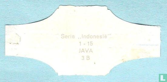 Java - Image 2
