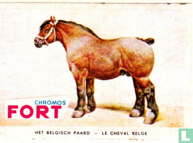 Het Belgisch paard
