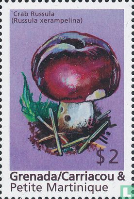 Champignons