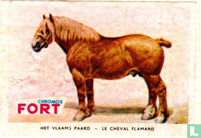 Het Vlaams Paard